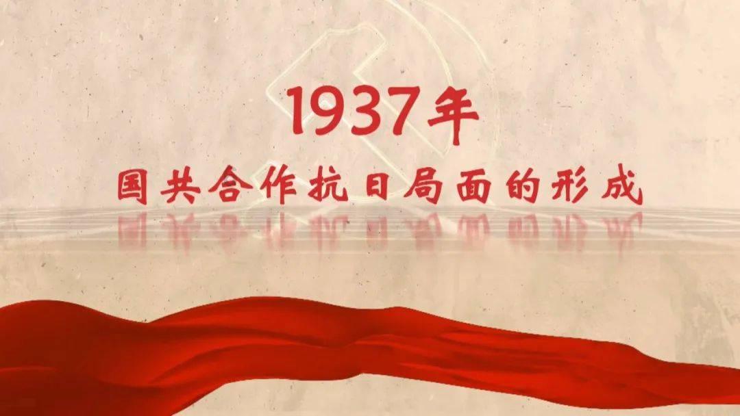 辽宁大连：13只导盲犬宝宝寻找寄养家庭