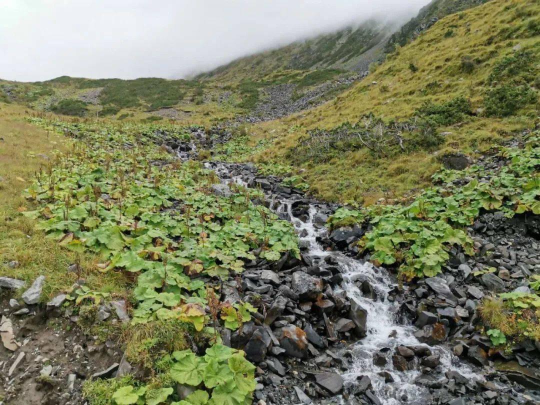 你能逃离此地吗